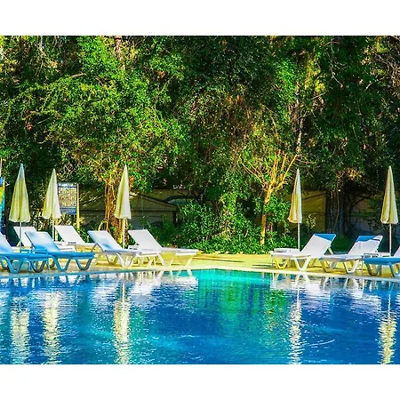 Hotel Festival Nature