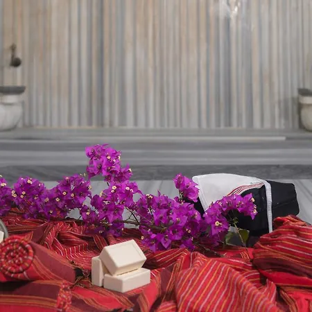 Festival Nature Kemer