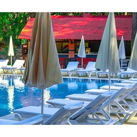 Festival Nature Hotel 4*