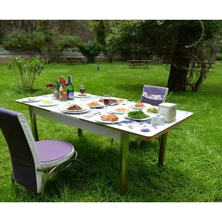 Festival Nature Hotel Kemer