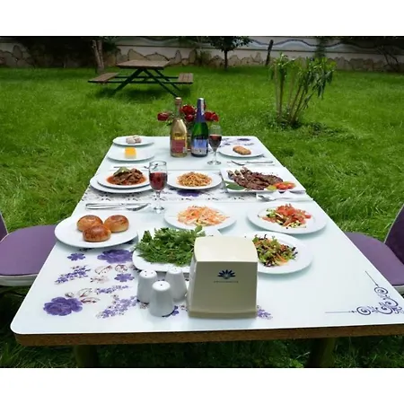 Festival Nature 4*