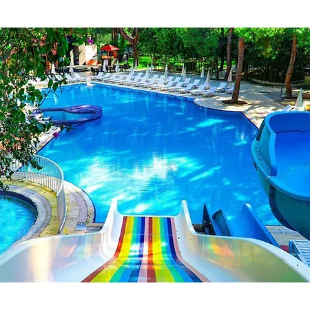 Hotel Festival Nature