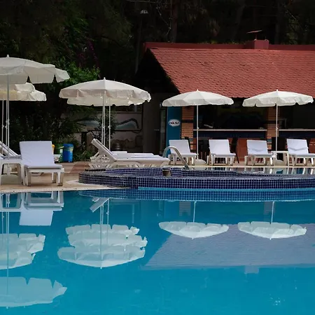 Hotel Festival Nature 4*