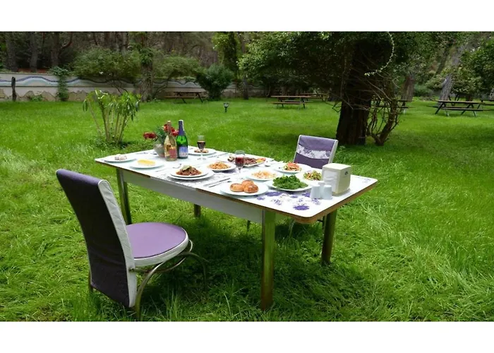 Festival Nature Hotel Kemer