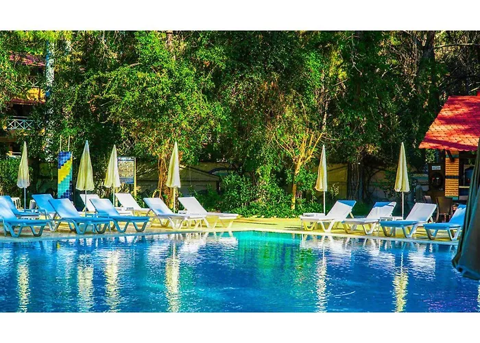 Hotell Festival Nature